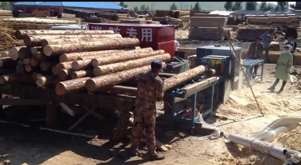 多片鋸 圓木多片鋸250型滿洲里客戶加工現場