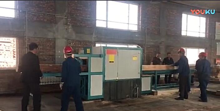 原木多片鋸工作視頻（圓木、方木一起加工）