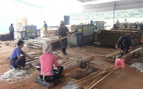 海南島-方木多片鋸加工現(xiàn)場(chǎng)