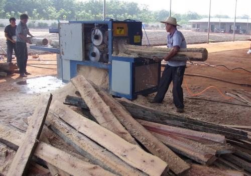 海南島-圓木多片鋸25加工現(xiàn)場(chǎng)
