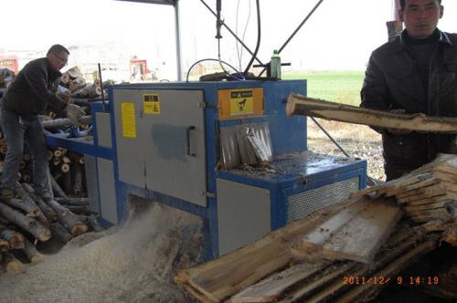 河南省-南陽(yáng)市-唐河縣-20機(jī)型鋸揚(yáng)木加工現(xiàn)場(chǎng)