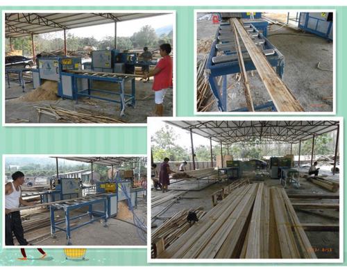 廣西-桂林-原木多片鋸250-方木70-加工現場