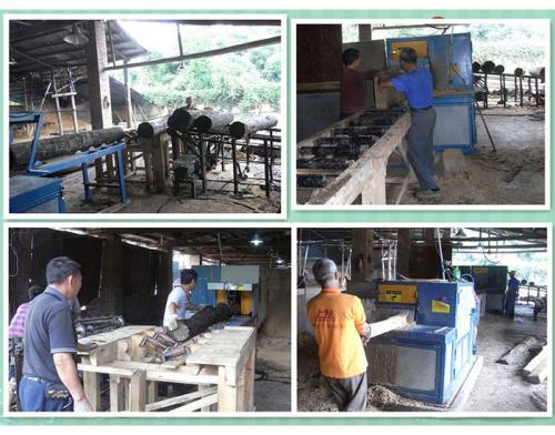 湖南省-邵陽市-原木多片鋸400-方木150-加工現場