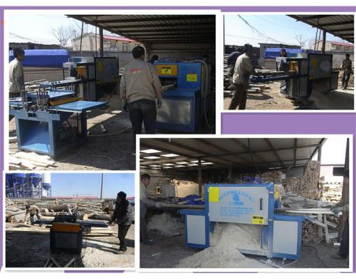 秦皇島-250原木多片鋸-方木150高多片鋸加工現場