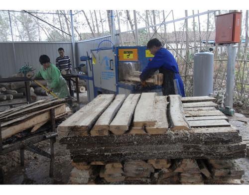 原木多片鋸-安徽合肥舒城加工現場