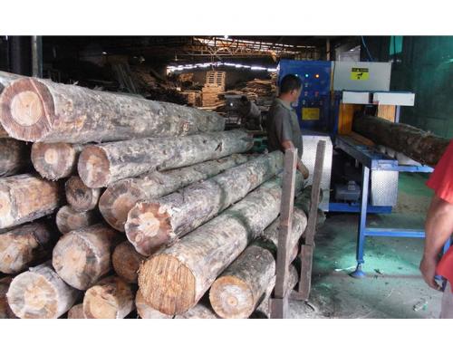 浙江省寧波市北侖區(qū)-圓木350機加工現(xiàn)場0